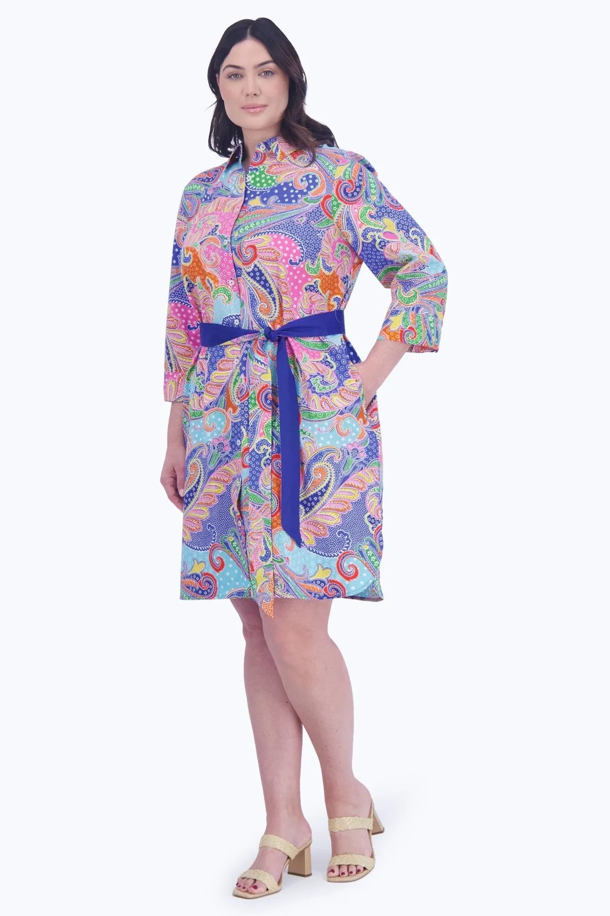 Rocca Plus No Iron Multicolor Paisley Dress